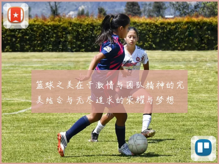 篮球之美在于激情与团队精神的完美结合与无尽追求的荣耀与梦想