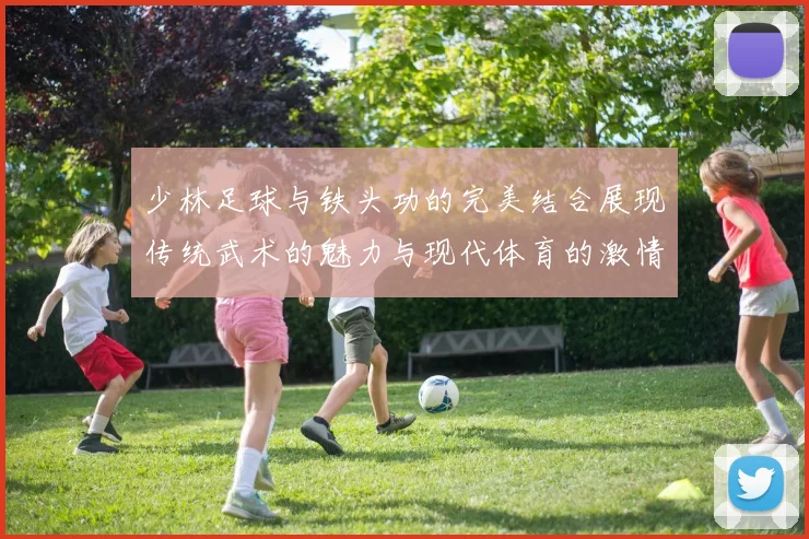 少林足球与铁头功的完美结合展现传统武术的魅力与现代体育的激情