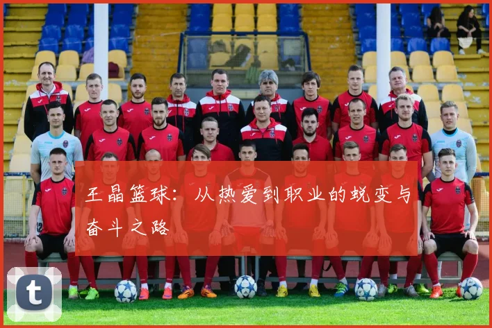 王晶篮球：从热爱到职业的蜕变与奋斗之路