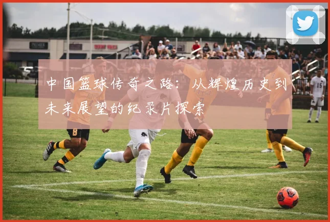 中国篮球传奇之路：从辉煌历史到未来展望的纪录片探索