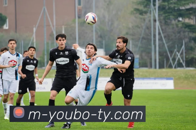 App Interface Preview